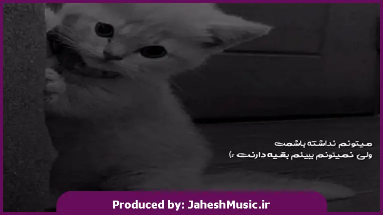 دانلود آهنگ نگو نگو راز نگو
